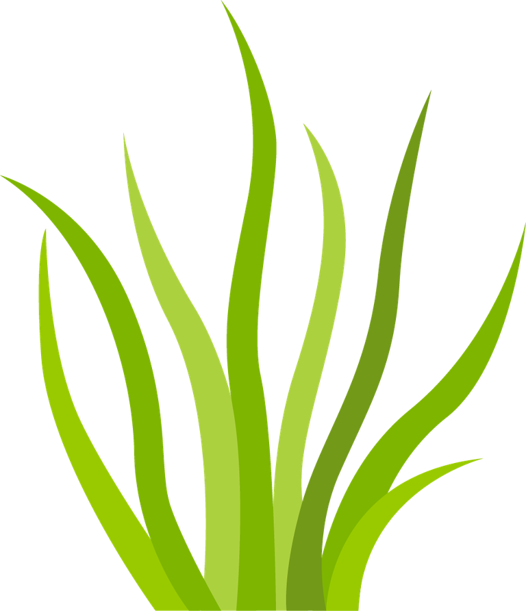 simple decorative green grass elements for enhancing natural themes in various projects