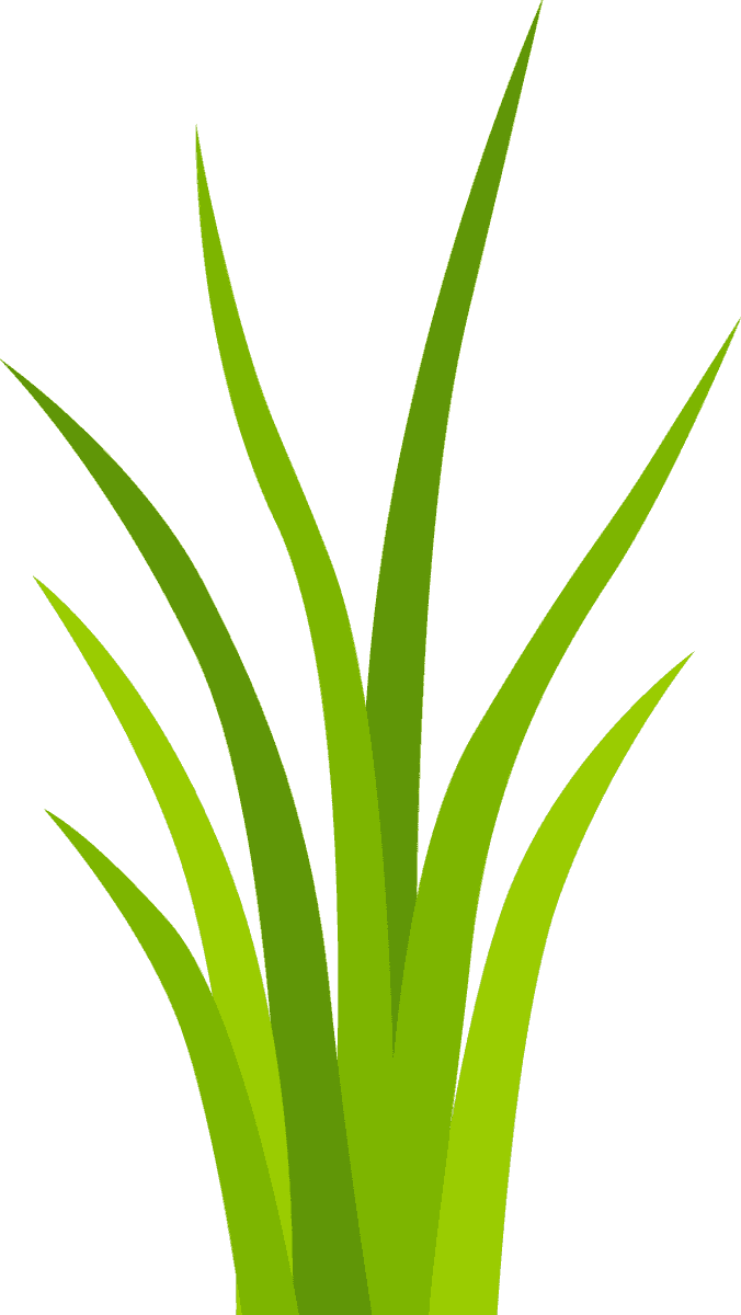 simple decorative green grass elements for enhancing nature-themed projects and backgrounds
