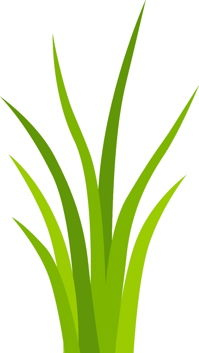 simple decorative green grass elements