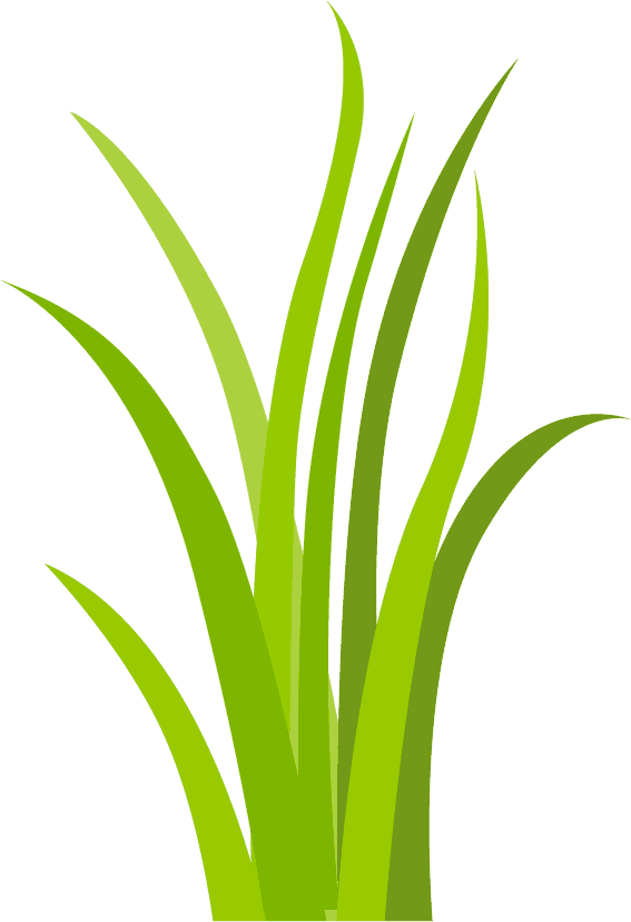 simple decorative green grass elements for backgrounds and nature-themed projects