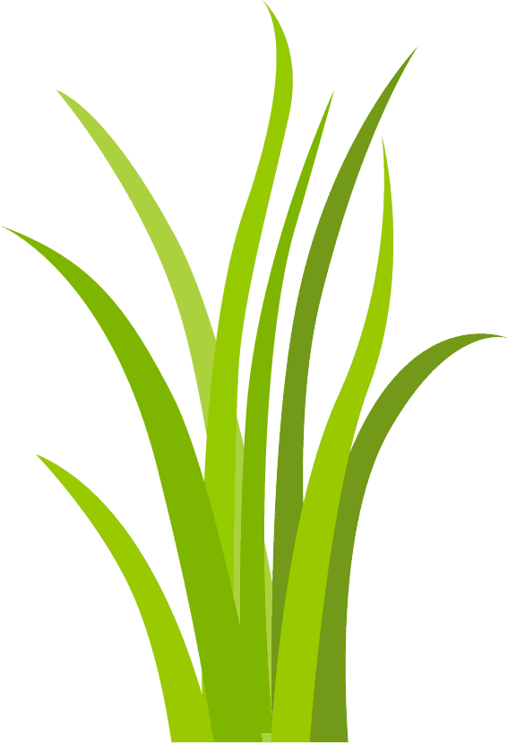simple decorative green grass elements