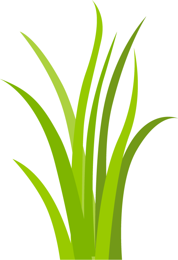 simple decorative green grass elements for backgrounds and nature-themed projects