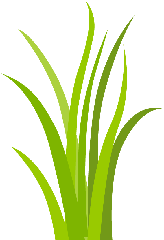 simple decorative green grass elements