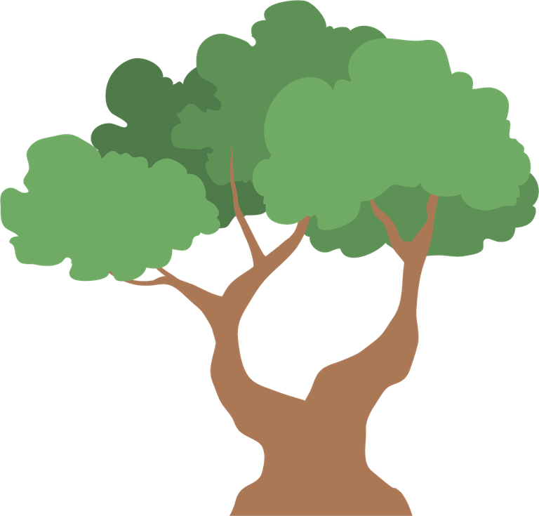 simple flat old tree element illustration