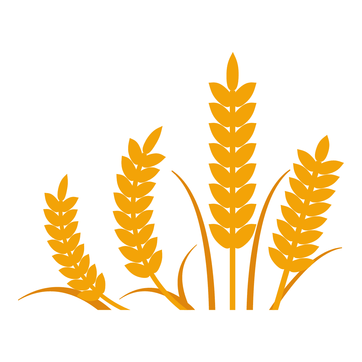simple golden wheat illustrations elements