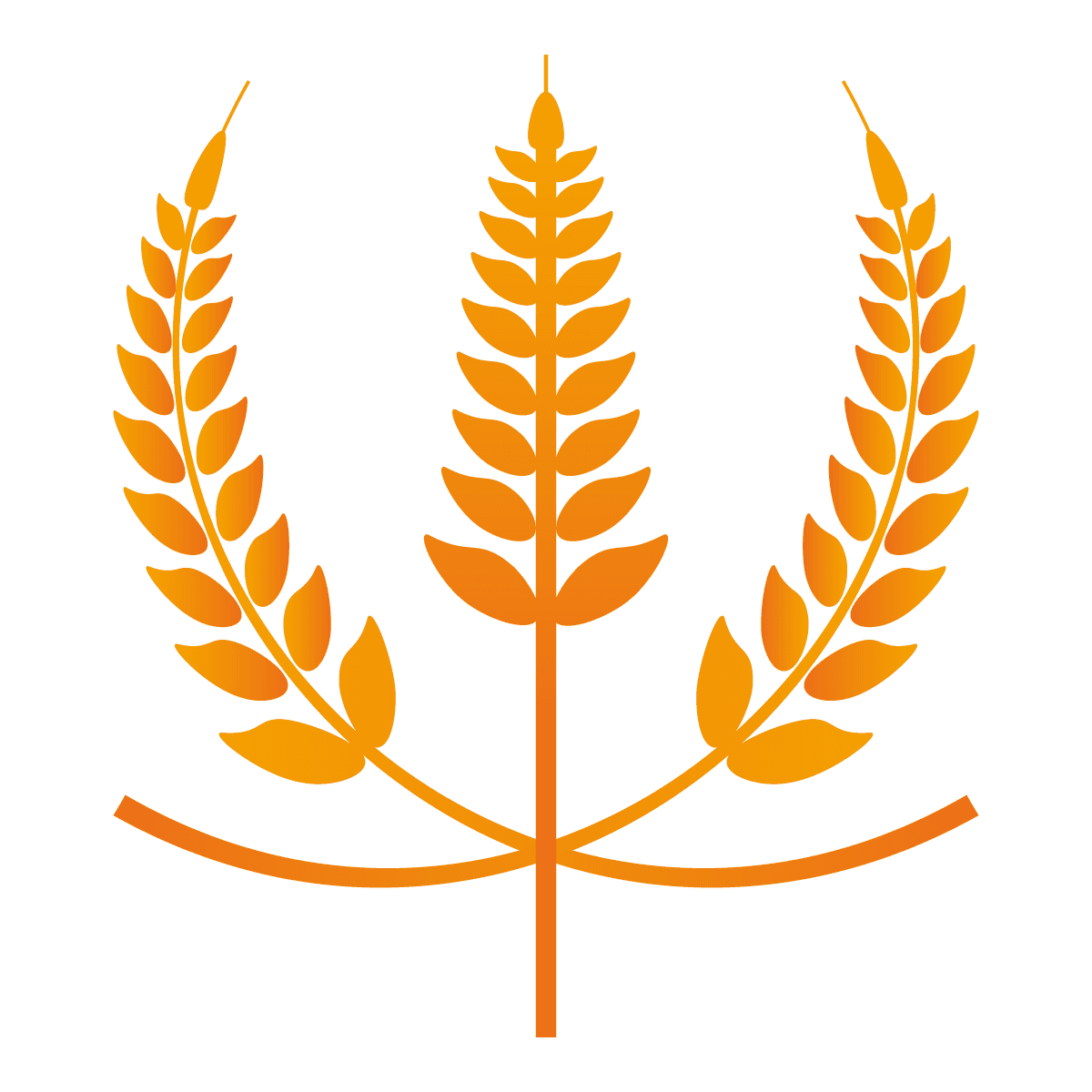 simple golden wheat illustrations elements