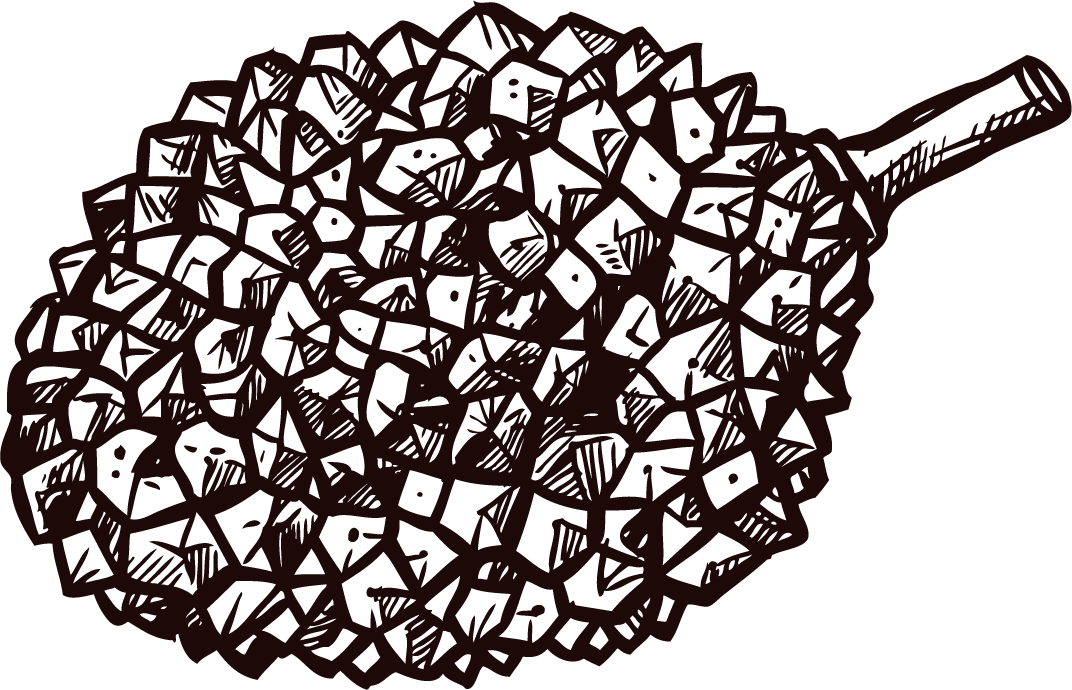 singapore hand drawn sketch set featuring a detailed durian illustration for art projects
