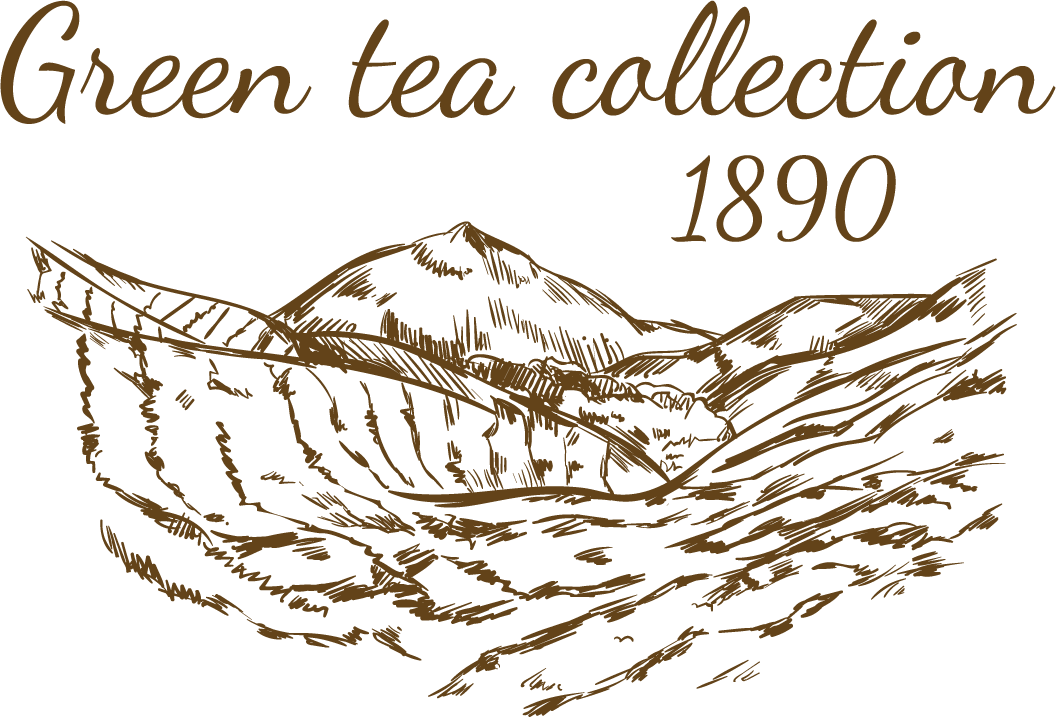 sketch tea logo set featuring elegant green tea collection and vintage aesthetic