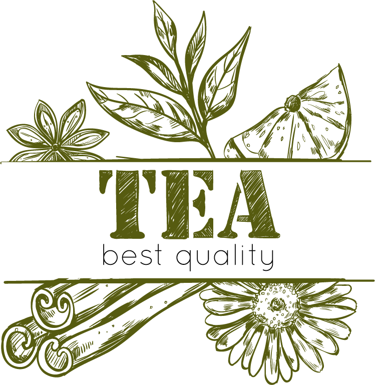 sketch tea logo set featuring natural elements for premium beverage branding and identity