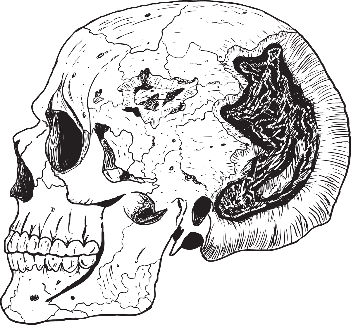 skull and bones terror vectors for edgy apparel and Halloween decorations