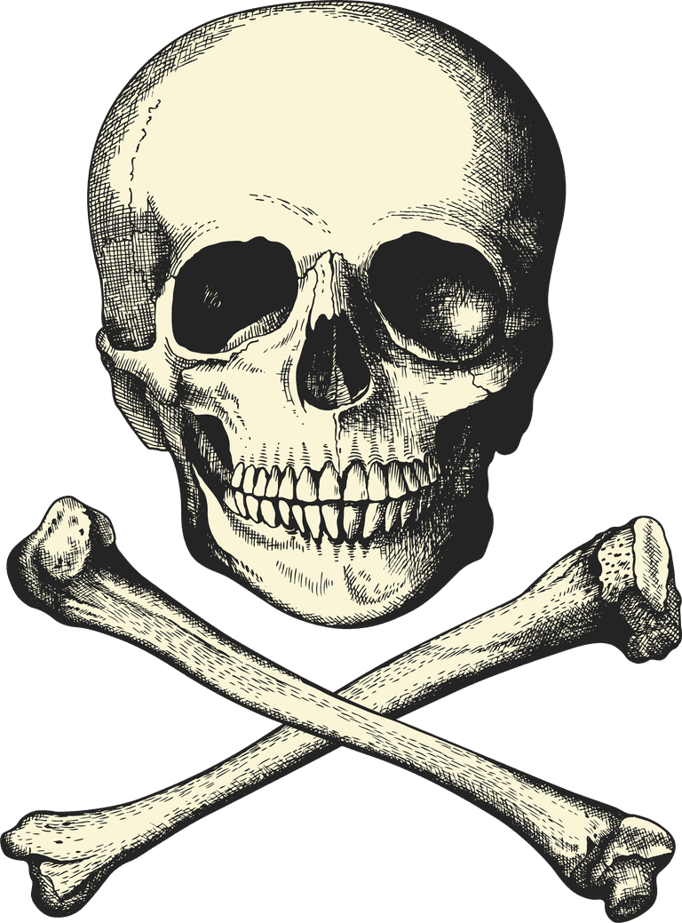 skullcap pirate skull line art for bold t-shirts and edgy merchandise