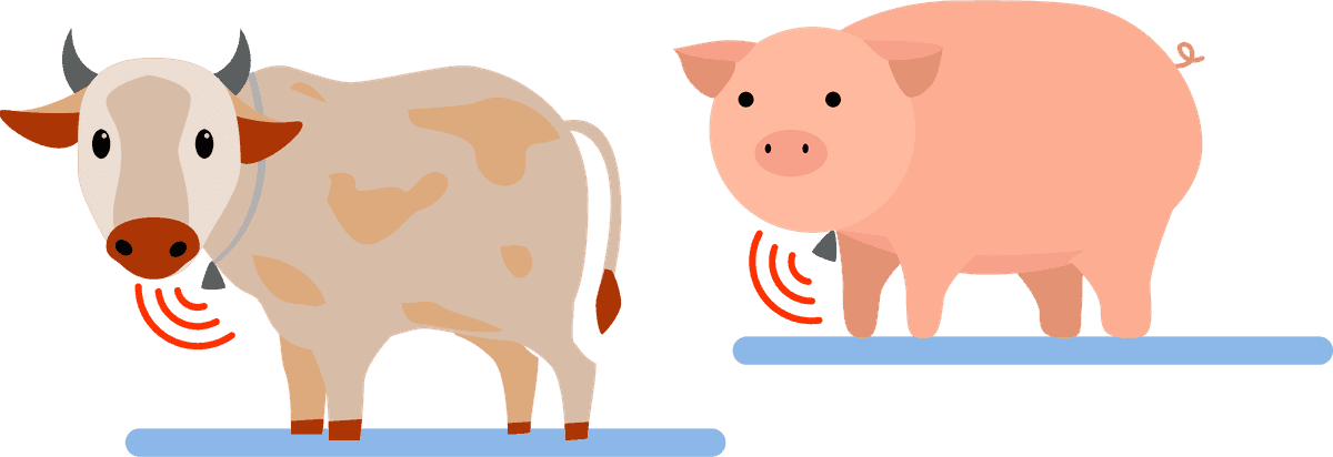 smart farming orthogonal flat approach for efficient animal husbandry and production