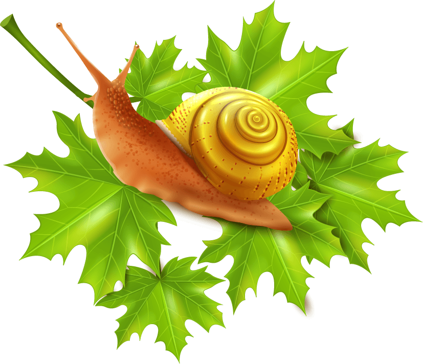 snail pest control icons set for effective garden protection and management solutions