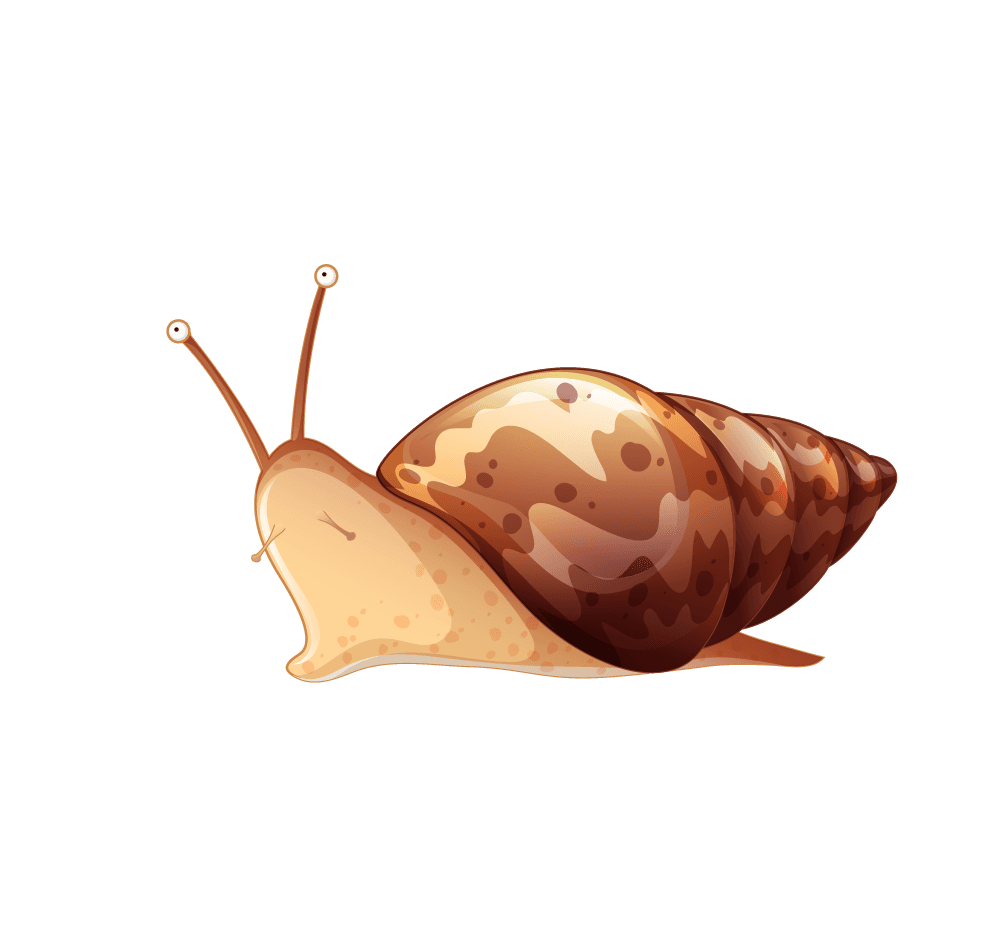 snail background scene with nature theme