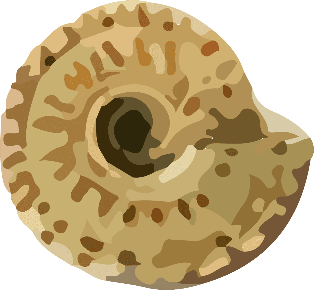 snail shell seafood crustacean pattern vector