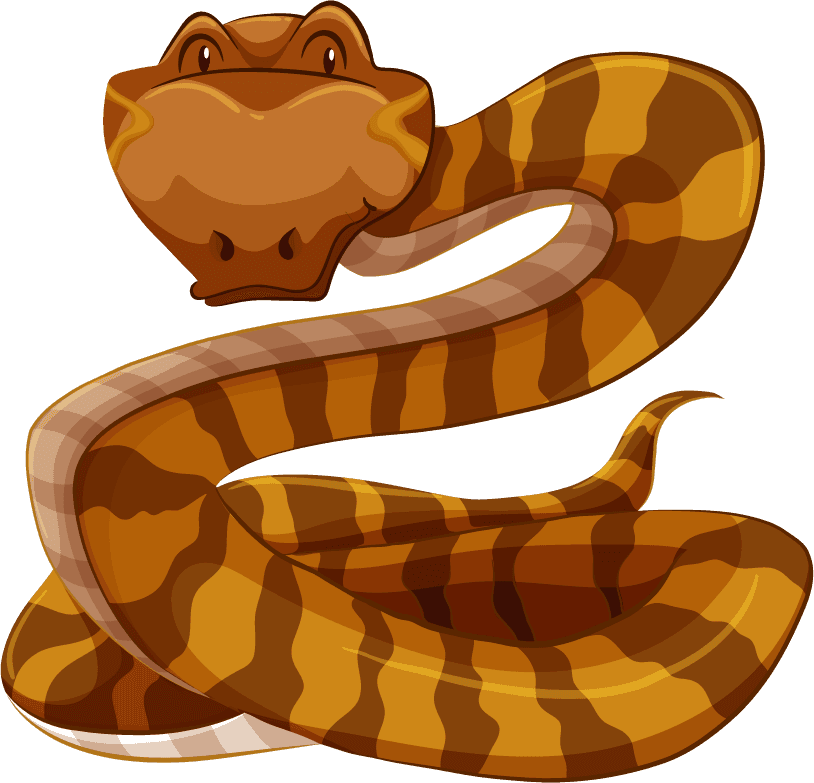 snake set wild animals collection featuring playful cartoon style and vibrant colors