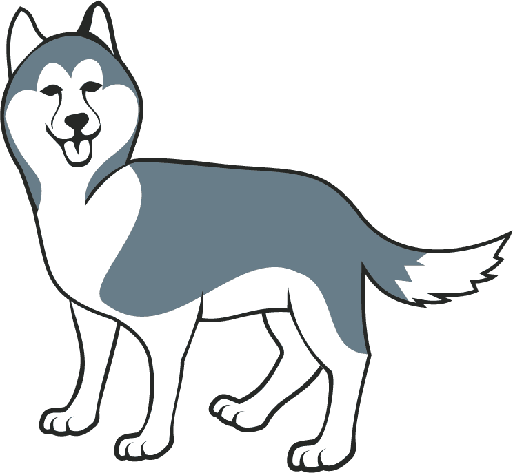 snob dog husky illustration animation vivid lovely