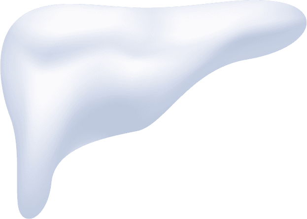 snow capes piles transparent