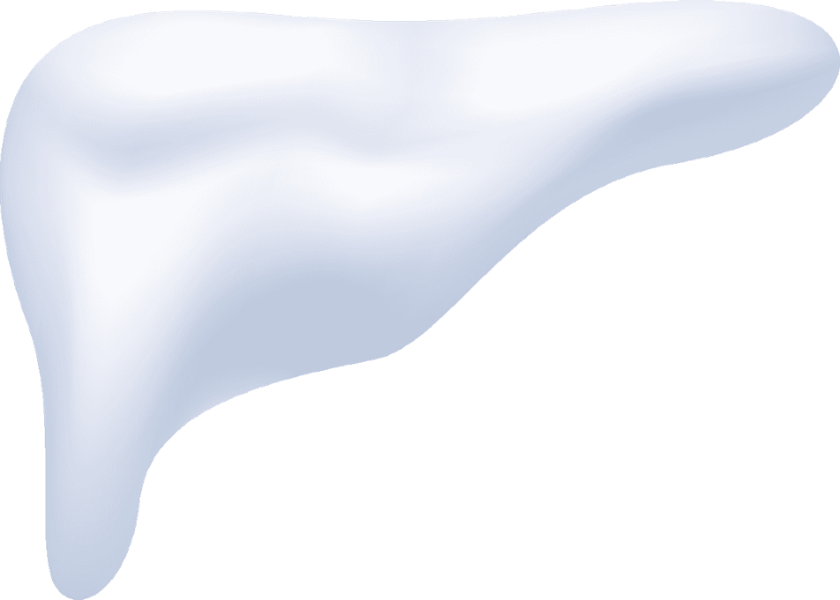 snow capes piles transparent illustration for winter themes and backgrounds