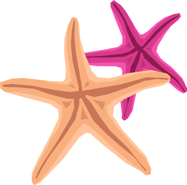 spa spa icons set featuring colorful starfish for beach-themed relaxation and wellness