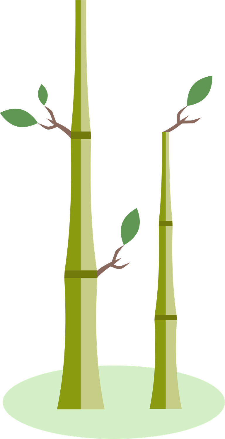spa spa icons set featuring bamboo plants for wellness and relaxation themes