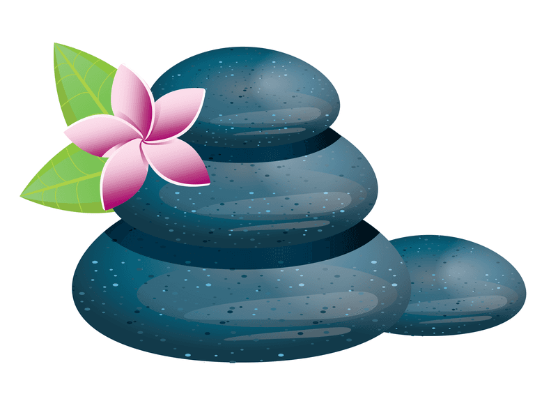 spa stones and flowers detail vector