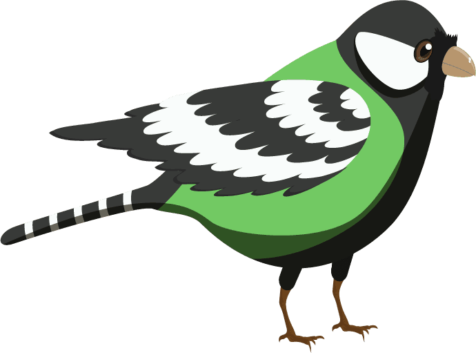 sparrow birds species icons colorful sketch