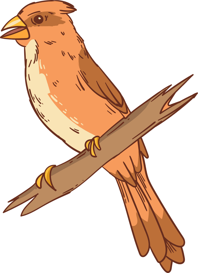 sparrow hand drawn illustrated bird collection
