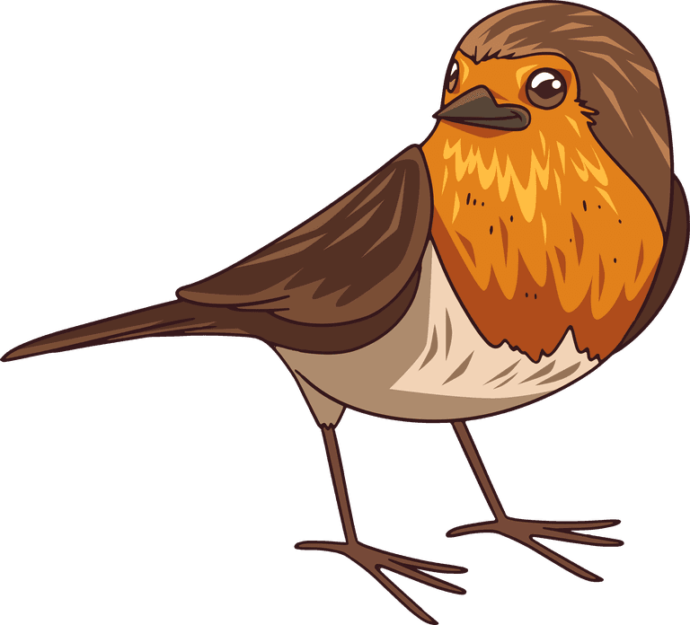 sparrow hand drawn robin bird collection