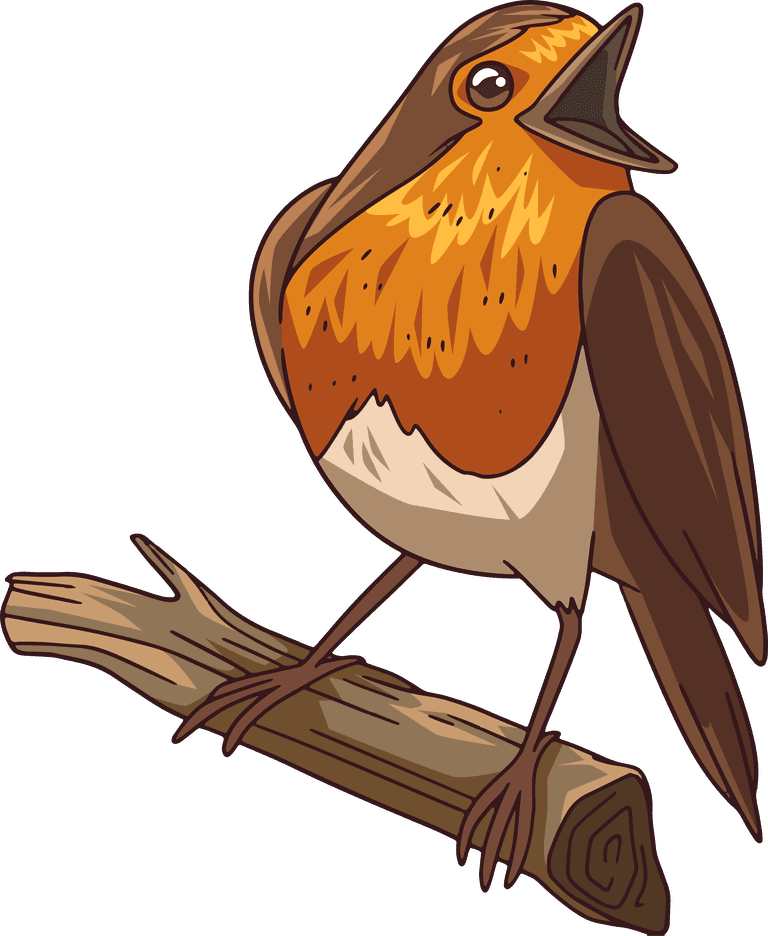 sparrow hand drawn robin bird collection