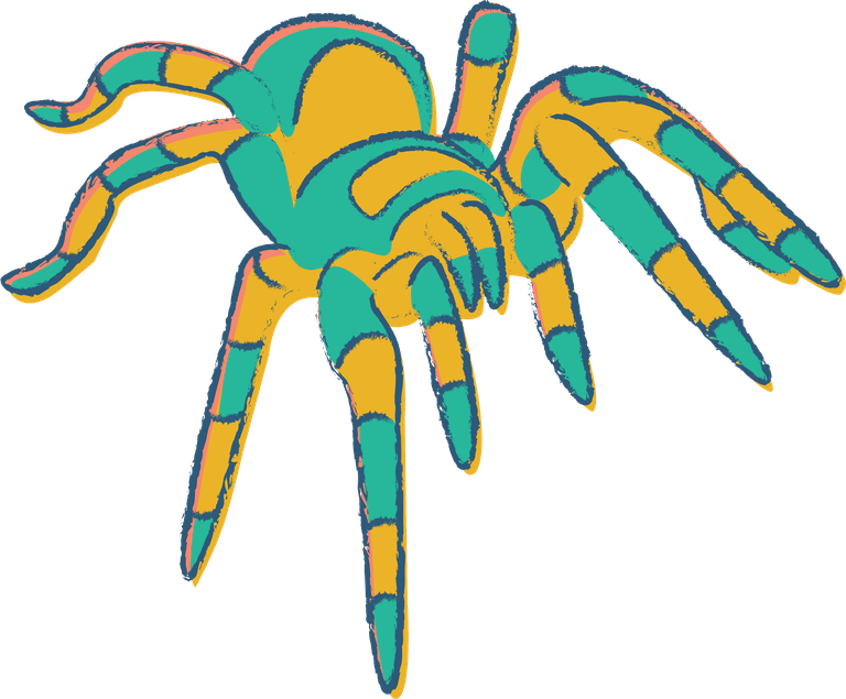 spider illustrated in many colors with sketchy style this tarantula vector