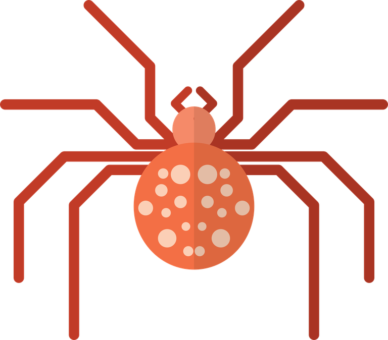 spider tarantula icons vector for horror themes, education, and scientific illustrations