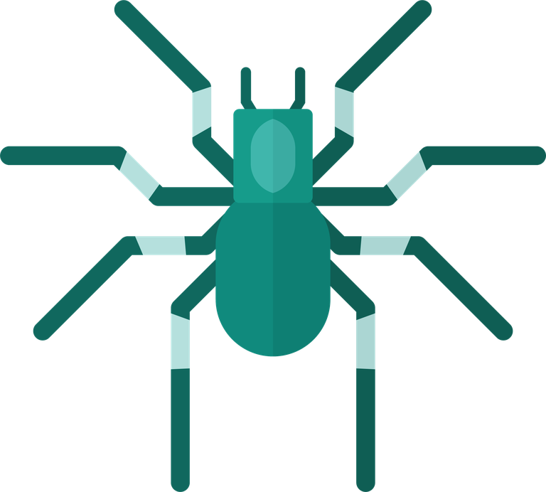 spider tarantula icons vector for nature apps, educational materials, and wildlife enthusiasts