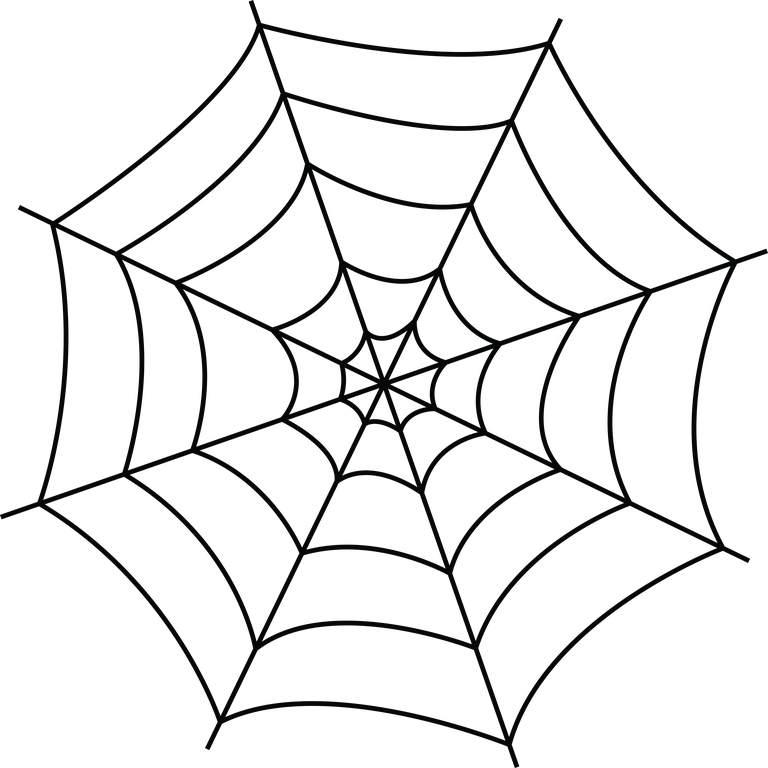 spider tarantula icons vector for nature enthusiasts and Halloween decorations