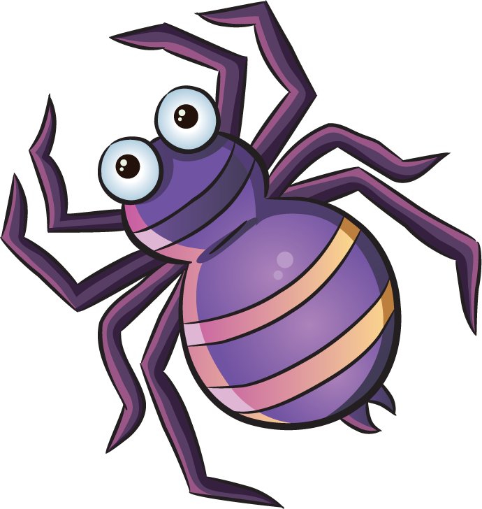 spider the lovely insect plant vector