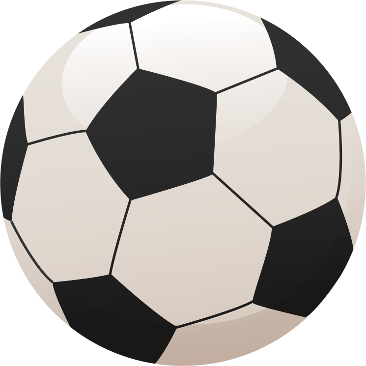 ball and sports accessories featuring a classic black and white soccer ball for gameplay