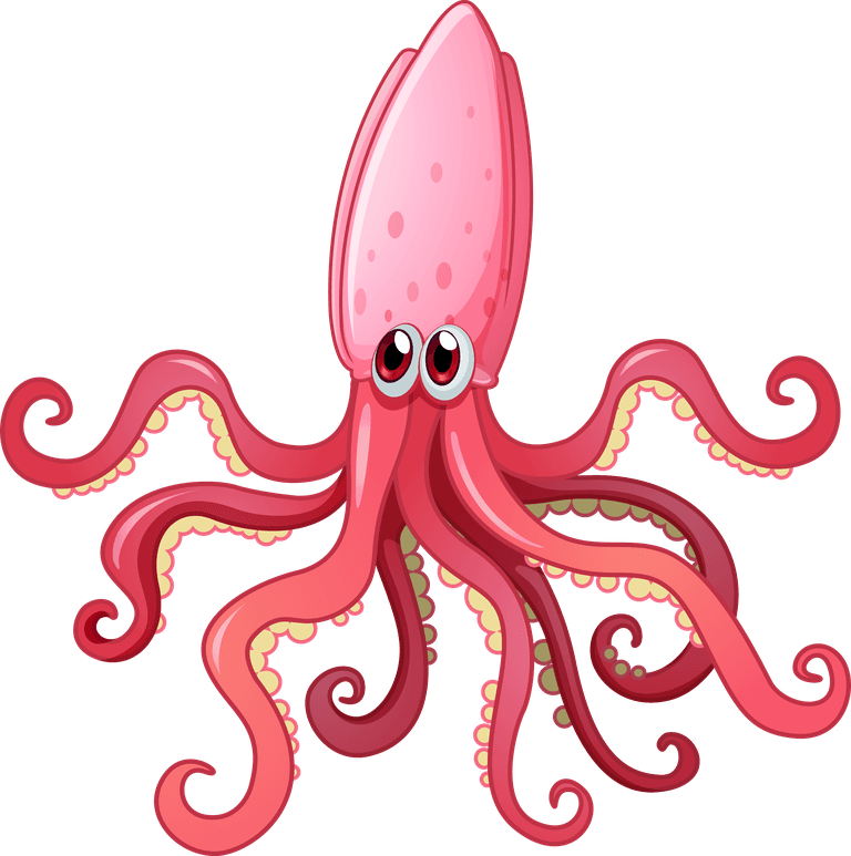 squid cute funny different kinds of sea animals illustration