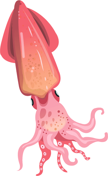 squid ocean species elements multicolored animals icons