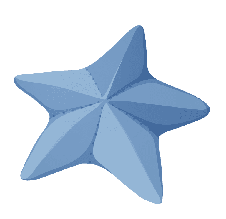 starfish a blue seashell illustration