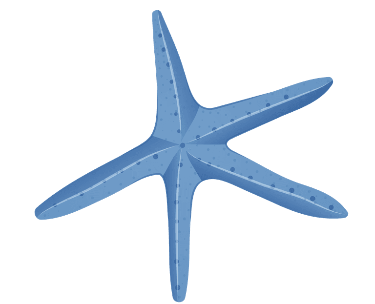starfish a blue seashell illustration
