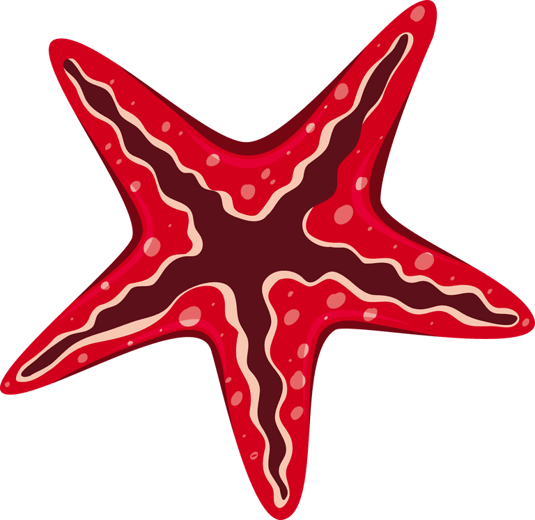 starfish different types of seashells on white background illustration