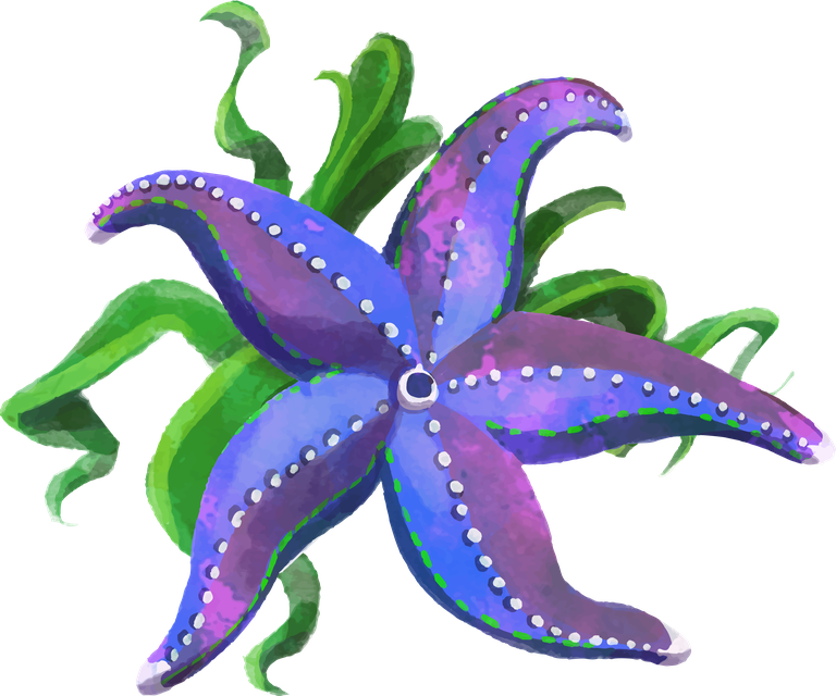 beautiful starfish watercolor illustration for beach-themed decor and creative projects