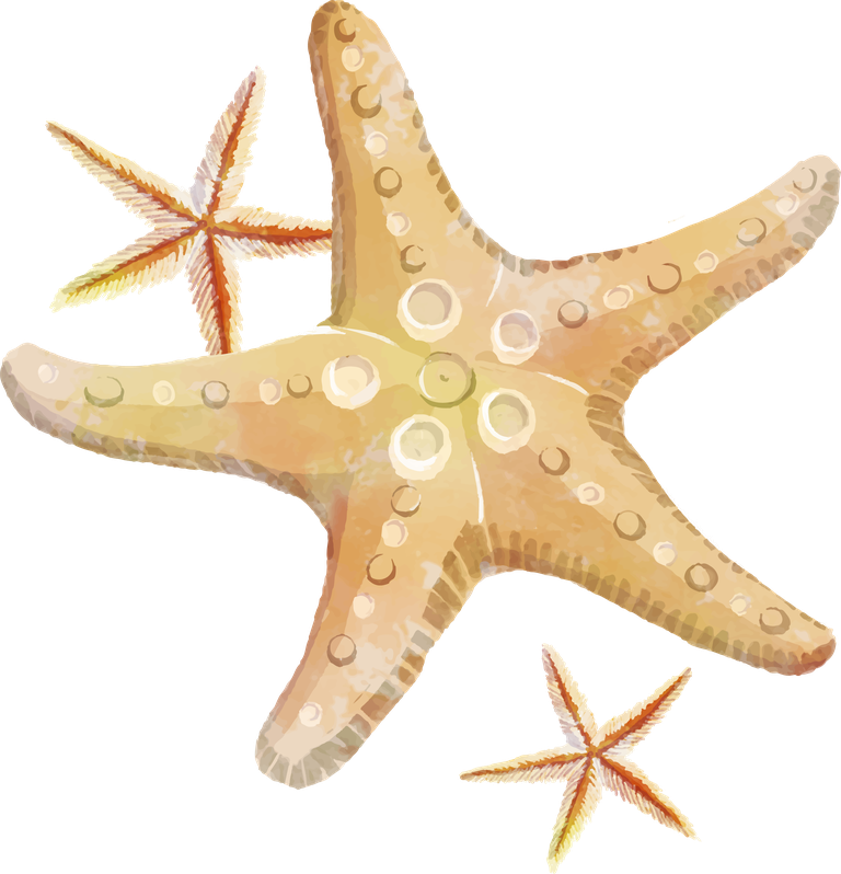 beautiful starfish watercolor: a stunning ocean-inspired aquatic decor piece