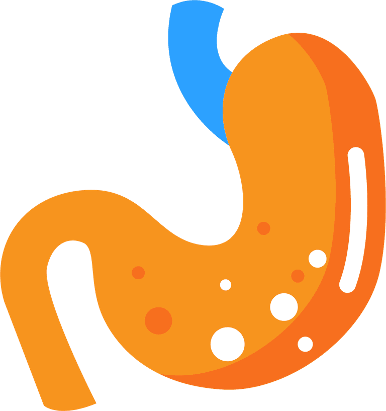 stomach medical icons colorful flat symbols sketch