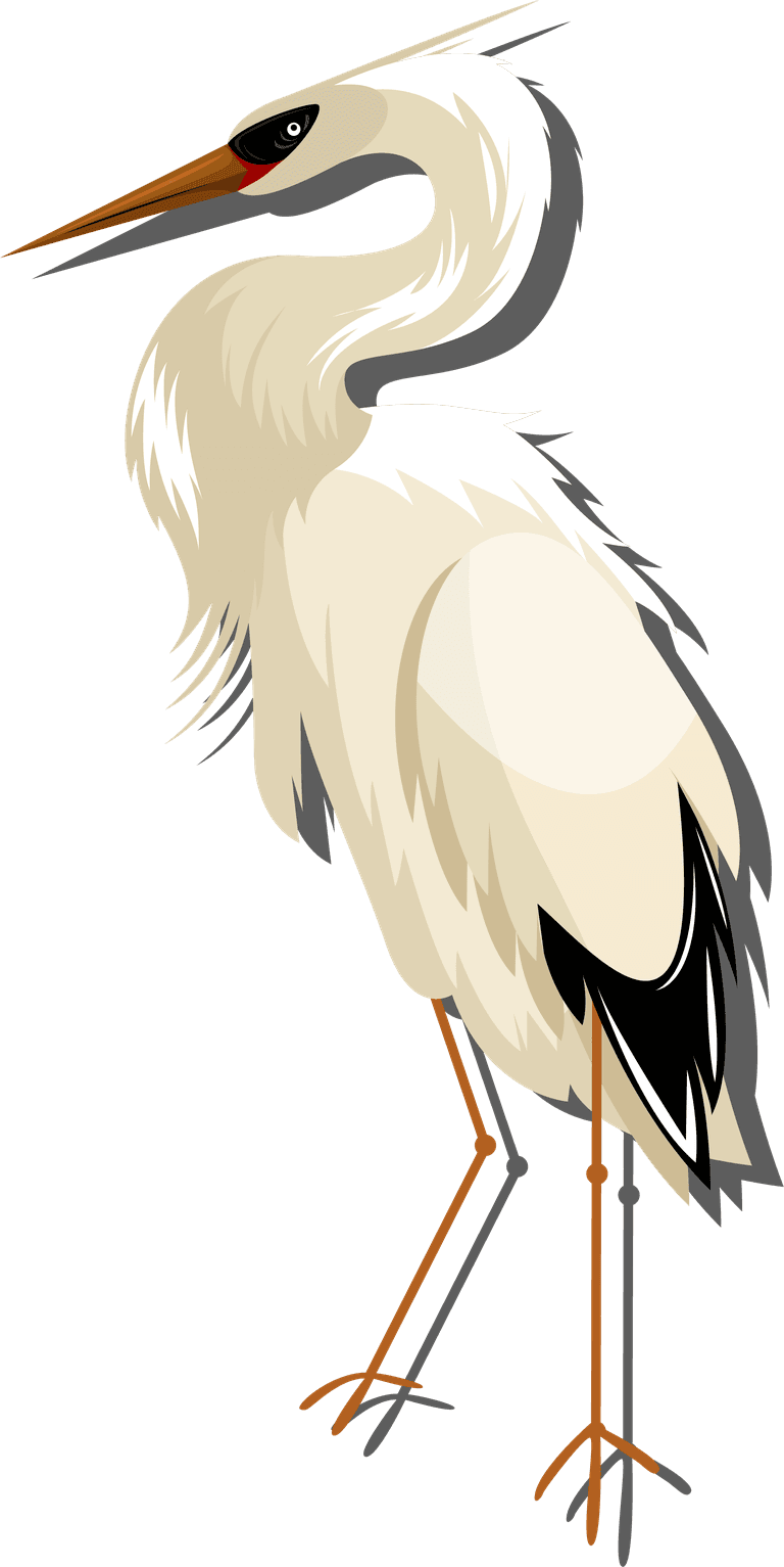 stork birds species icons eagle toucan stork vulture sketch