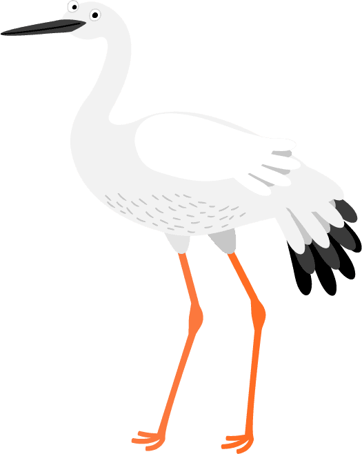 stork cute birds illustration set