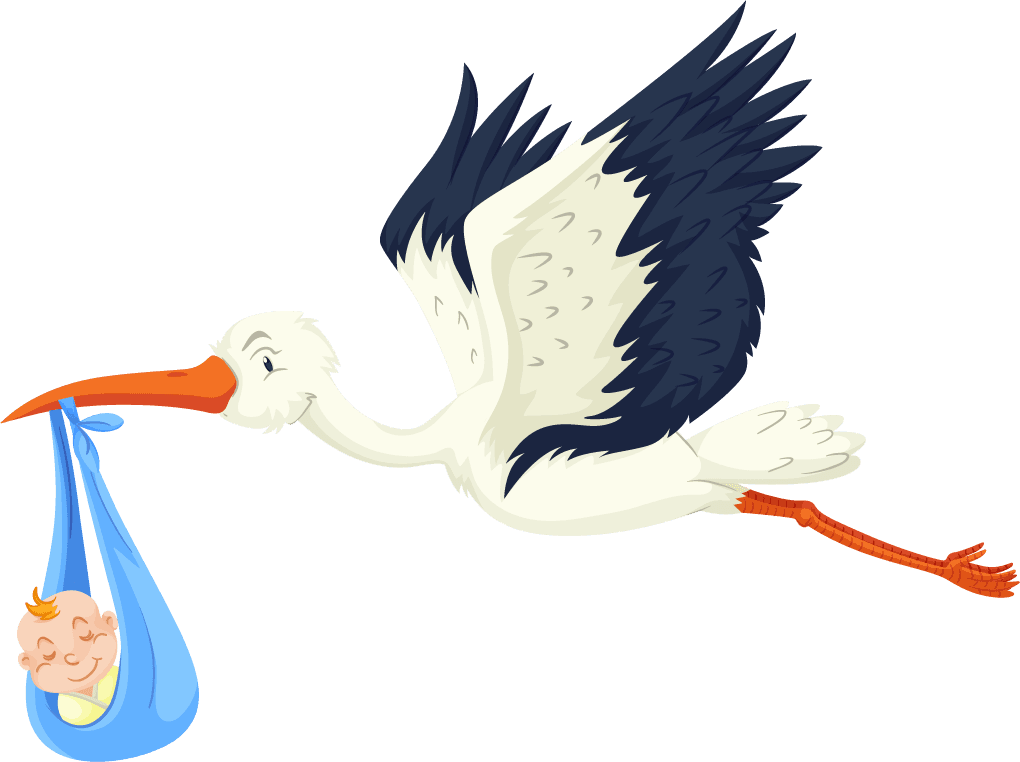 stork set different birds cartoon style isolated white background