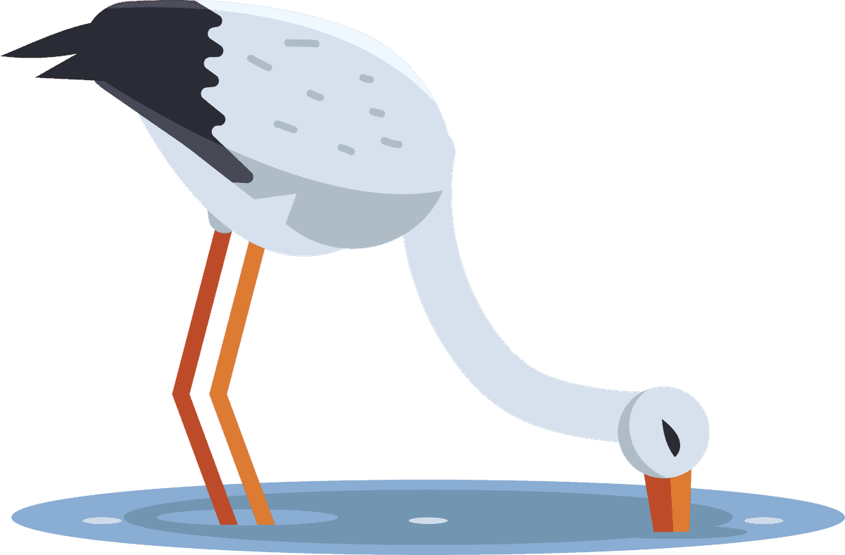 single stork with different posture in water, playful and modern illustration style