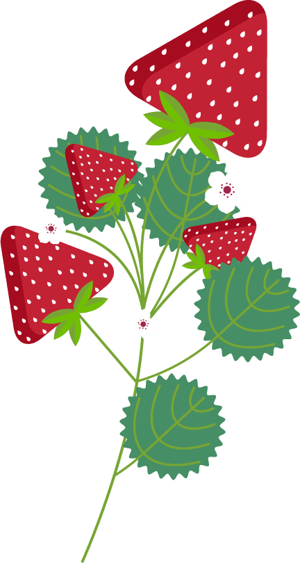 strawberry icons colored flat modern sketch