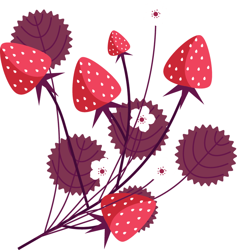 strawberry icons colored flat modern sketch